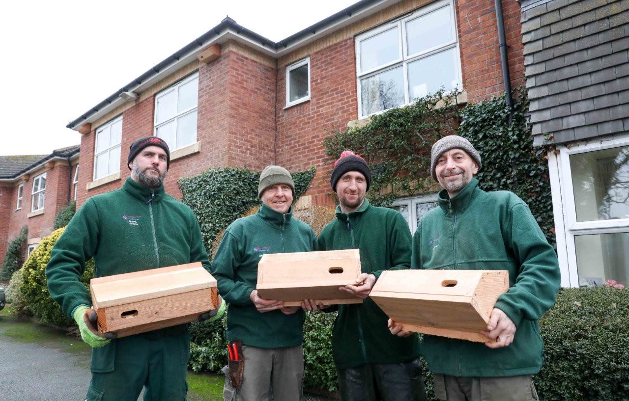 Maintenance, Gardening and Soft Furnishings